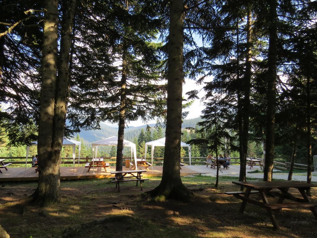 Jura Hotels Ilgaz Mountain Resort エクステリア 写真