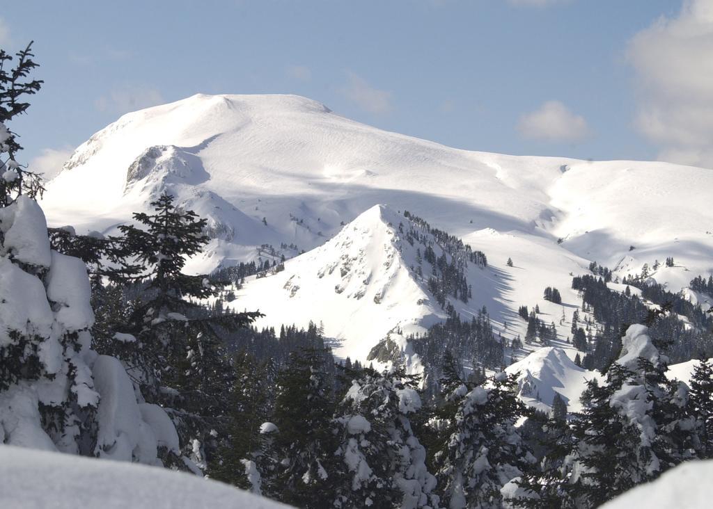Jura Hotels Ilgaz Mountain Resort エクステリア 写真