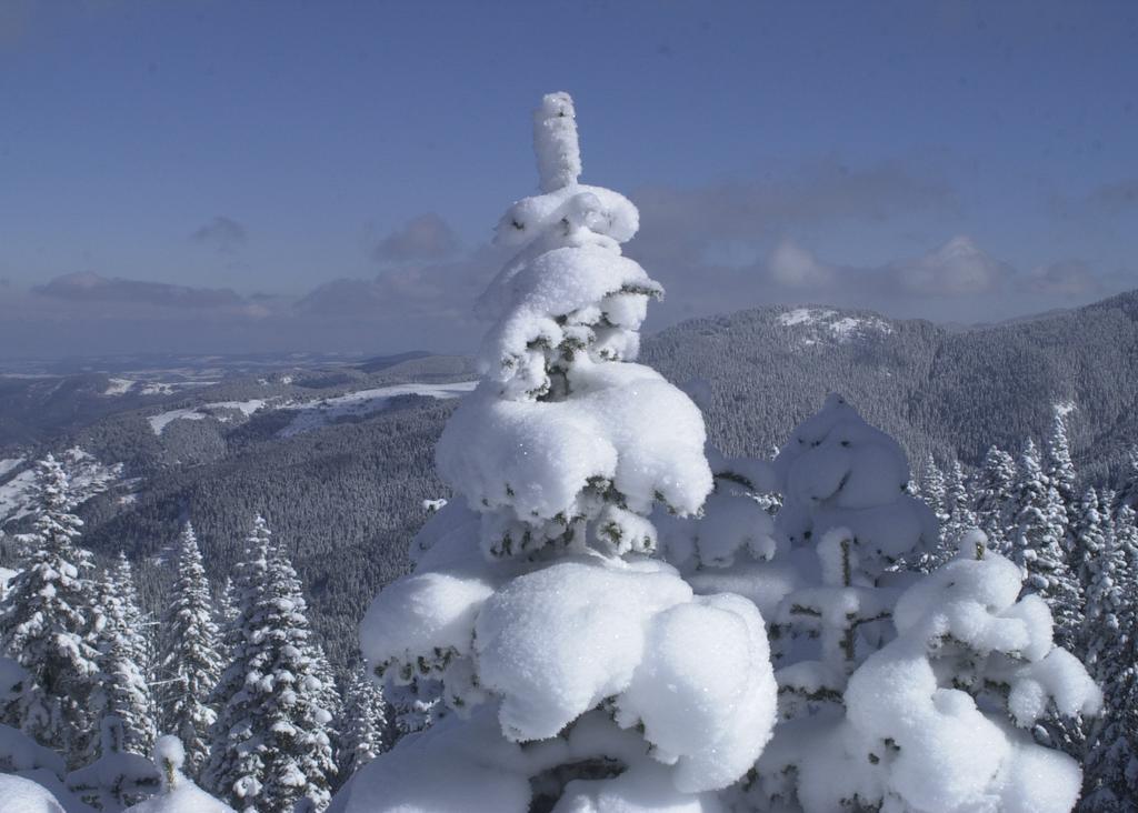 Jura Hotels Ilgaz Mountain Resort エクステリア 写真