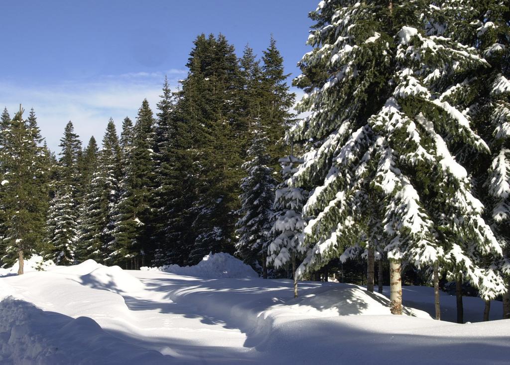 Jura Hotels Ilgaz Mountain Resort エクステリア 写真