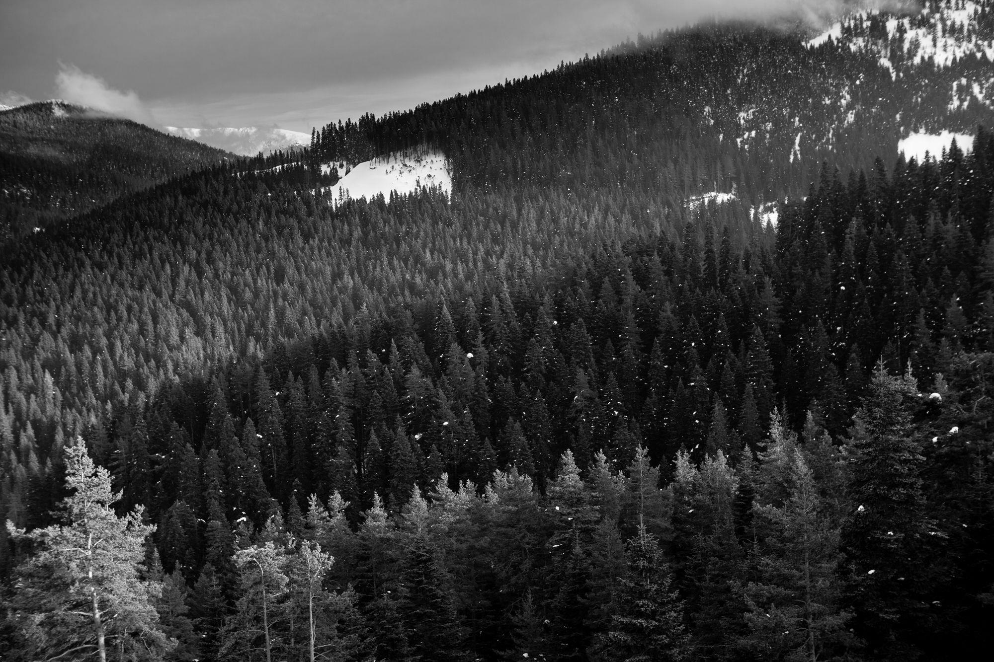 Jura Hotels Ilgaz Mountain Resort エクステリア 写真